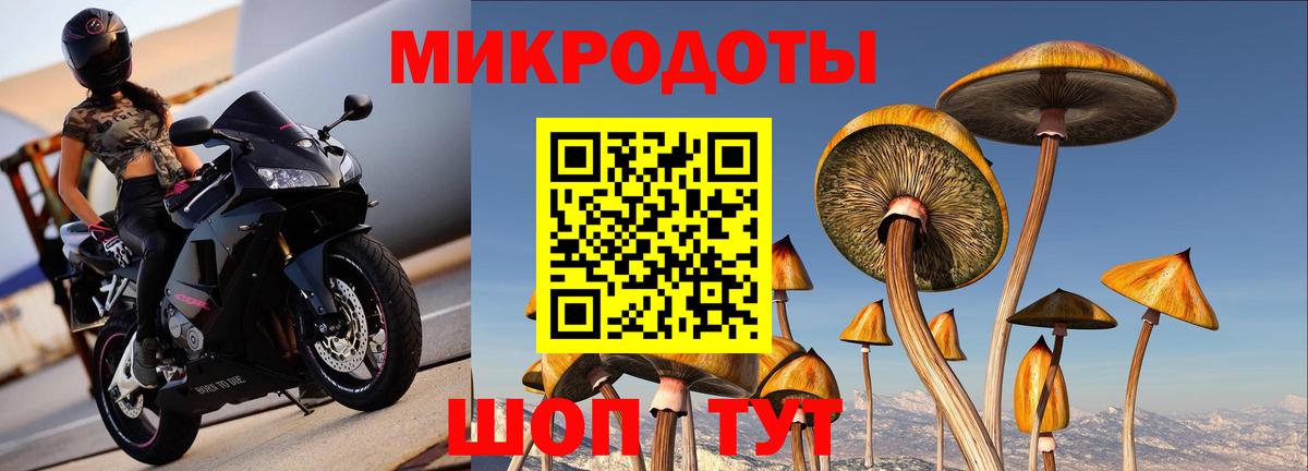 Усть-Джегута  Псилоцибиновые грибы ЛСД  Галлюциногенные грибы Magic Shrooms  Вход с VPN 